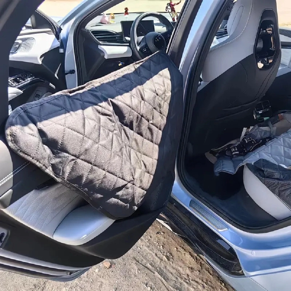 Clean car after dog travel